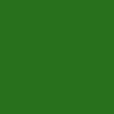 Birodo Green 06