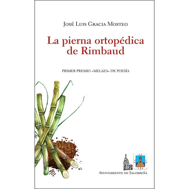 La pierna ortopédica de rimbaud.pdf