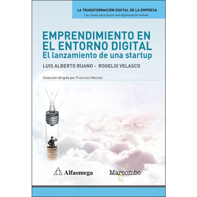 Emprendimiento en el entorno digital: El lanzamiento de una startup (Tapa blanda)