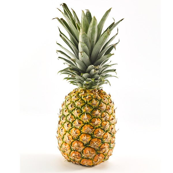 Süße Ananas Stück 1,9 kg Gewicht ca.