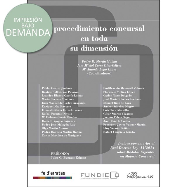 El procedimiento concursal en toda su dimensión.pdf