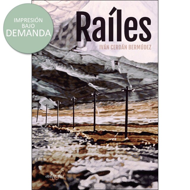 Raíles.pdf