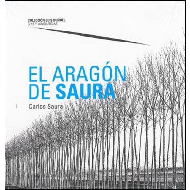 El aragón de saura