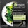 GARNIER Skin Active pore-reducing detox effect black sheet face mask sachet 32 ml