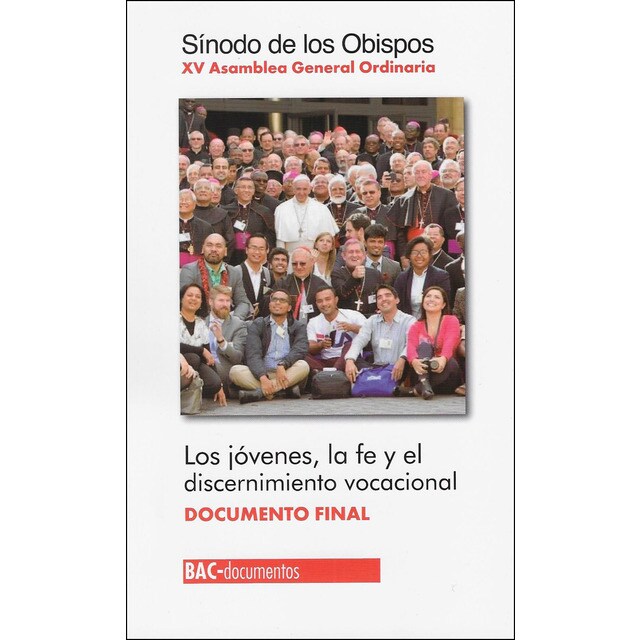 Los jóvenes, la fe y el discernimiento vocacional.pdf