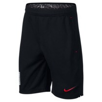 nike dri fit shorts junior