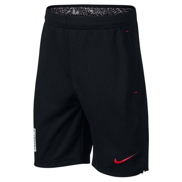 nike dri fit shorts junior