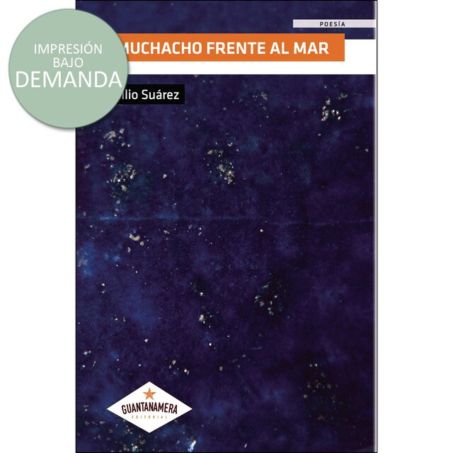 Muchacho frente al mar.pdf
