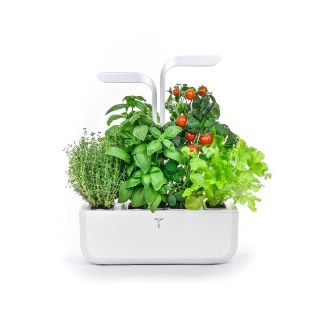 Horta Urbana Véritable Classic Garden - Branco