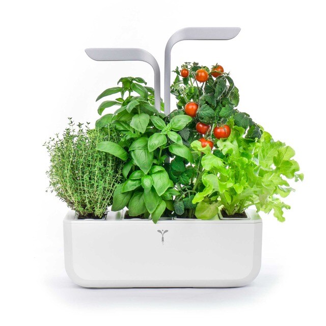 Horta Urbana Véritable Smart Garden - Branco/Cinzento