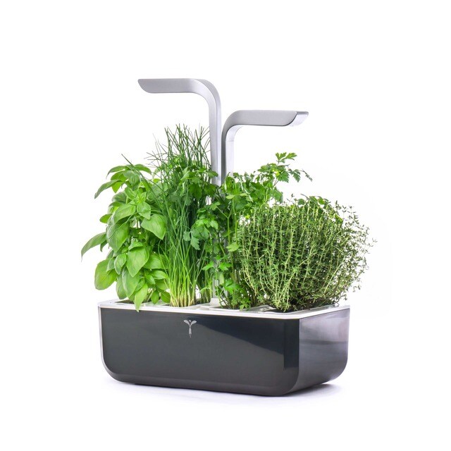 Horta Urbana Véritable Smart Garden - Preto/Cinzento