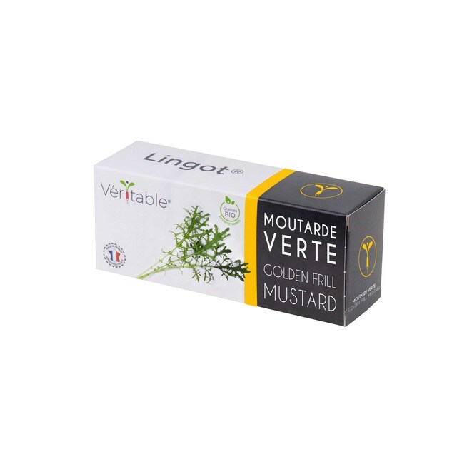 Lingots Vegetais: Mostarda Verde Orgânica