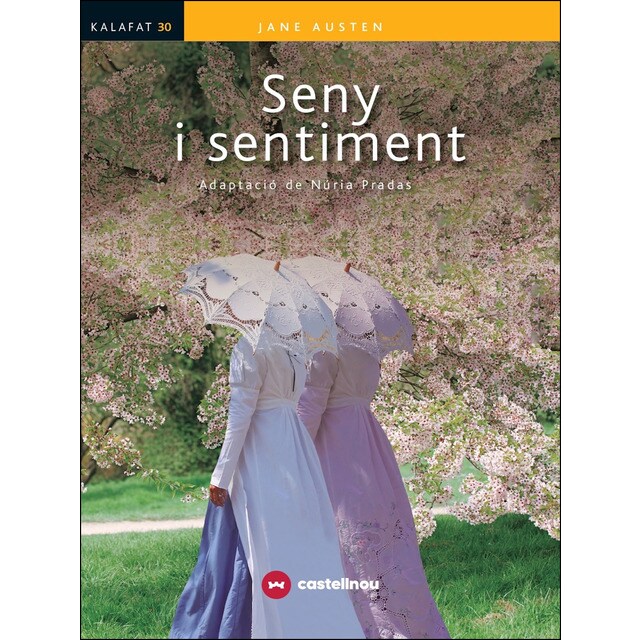 Seny i sentiment (Tapa blanda)