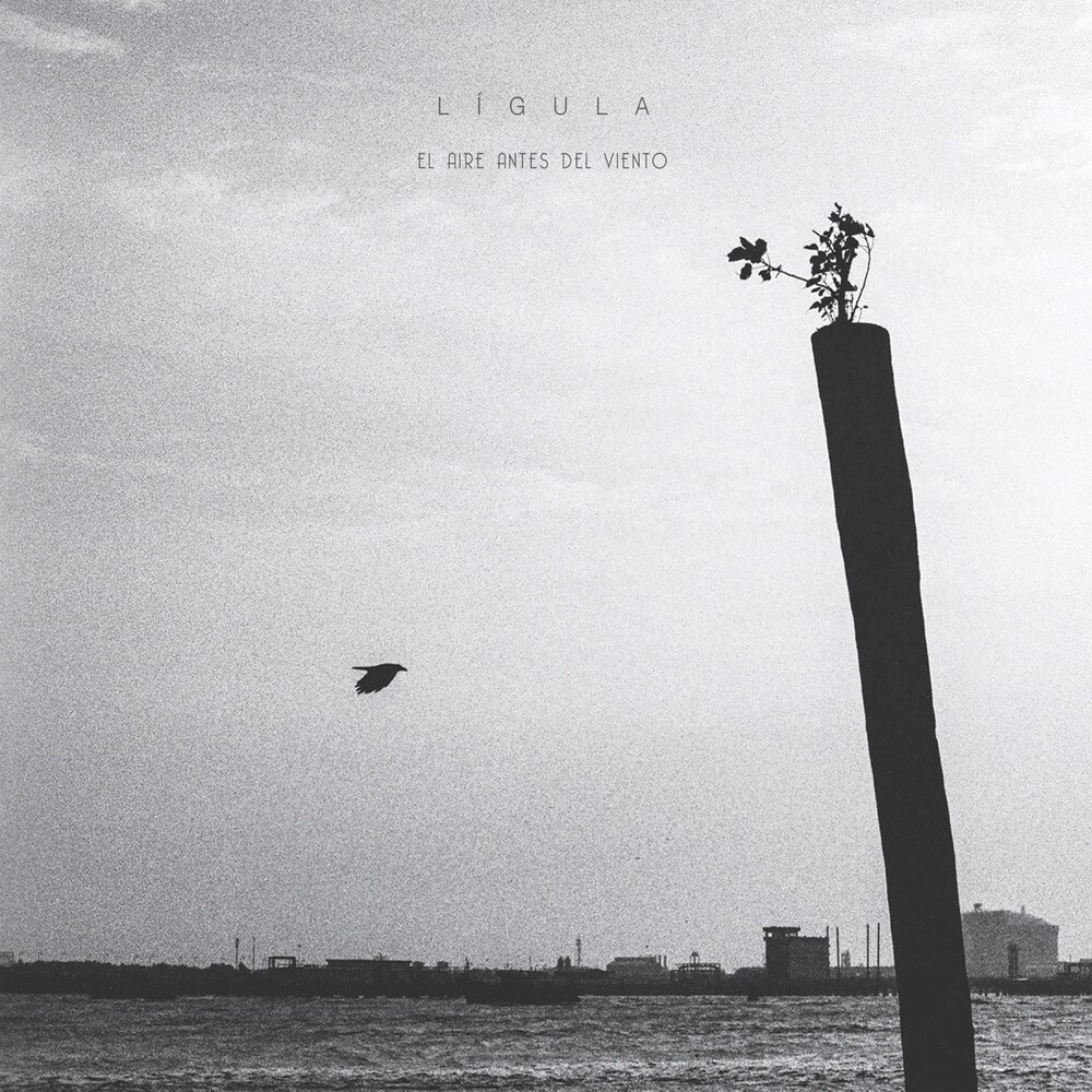 El Aire Antes Del Viento (CD)