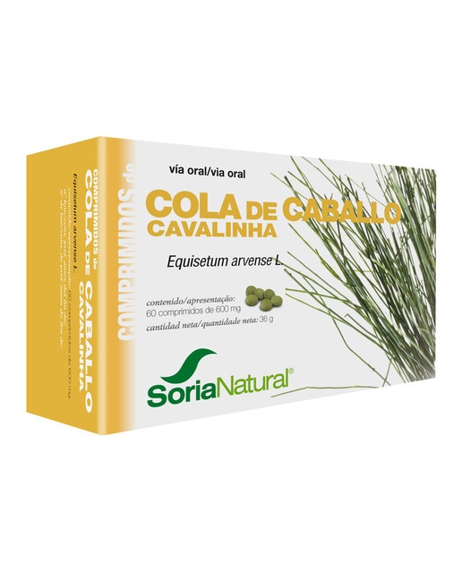 Te De Cola De Caballo En Ingles