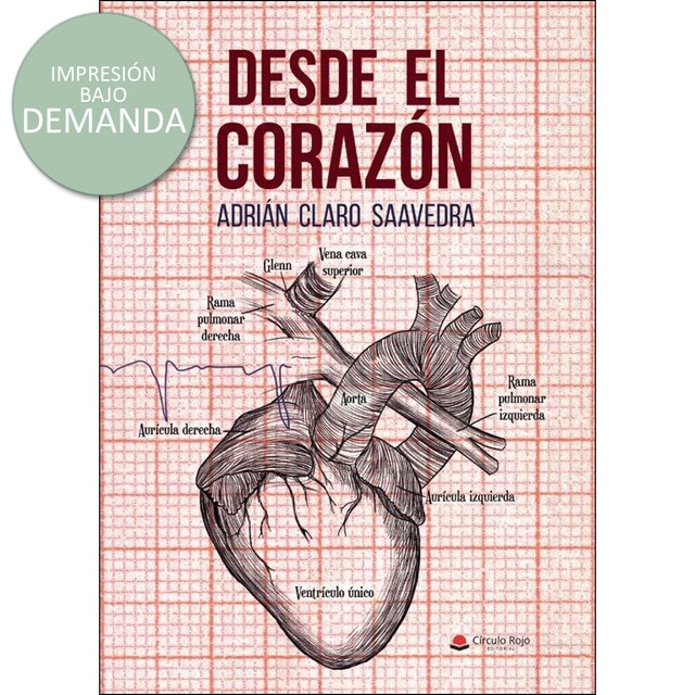 Desde el corazón.pdf