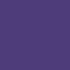 Violet Vibe 03