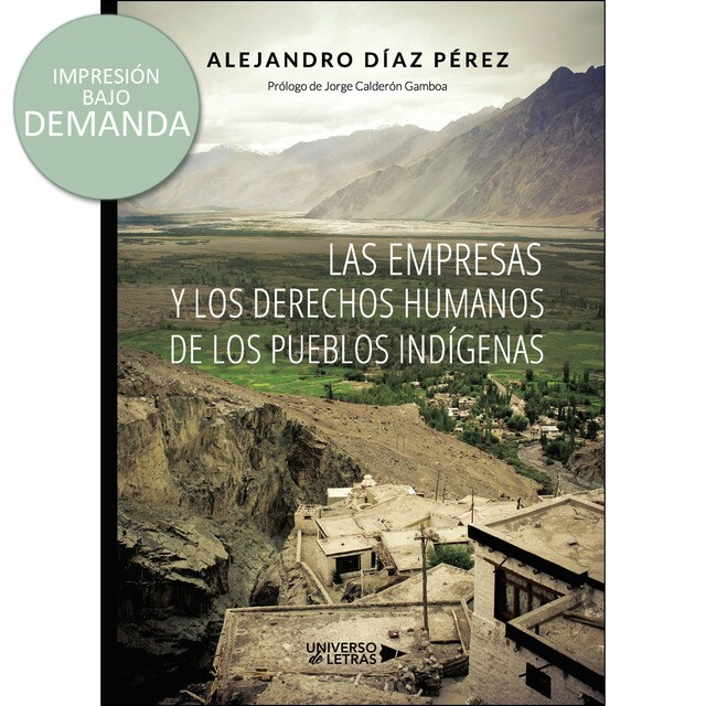 Las empresas y los derechos humanos de los Pueblos Indígenas.pdf