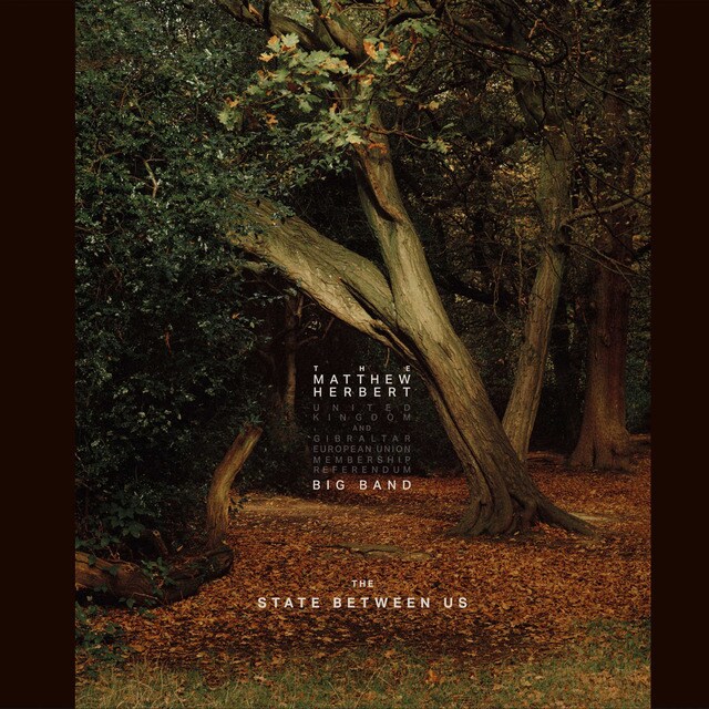 The State Between Us 3 LPVinilo