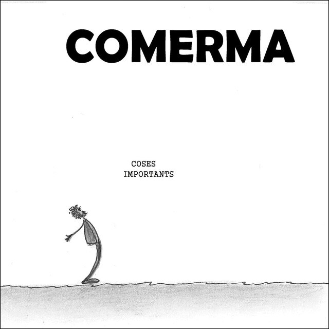 Coses importants (CD)