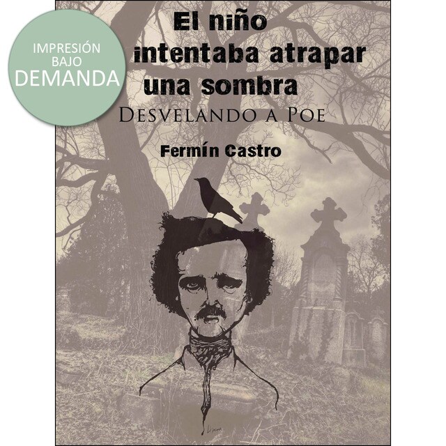 El niño que intentaba atrapar una sombra.pdf