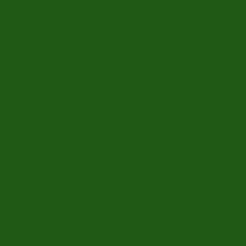 Birodo Green 06