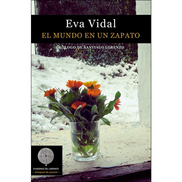 El mundo en un zapato (Tapa blanda)