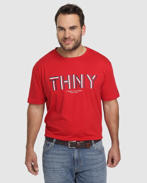 tommy hilfiger big and tall clothing