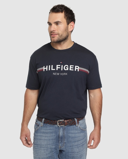 tommy hilfiger big and tall t shirts