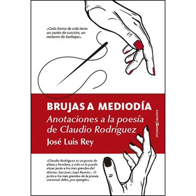 Brujas a mediodía: Anotaciones a la poesía de Claudio Rodríguez.pdf