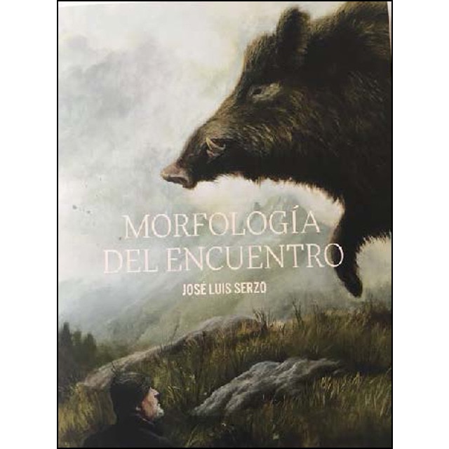 Morfología del encuentro: José luis serzo.pdf