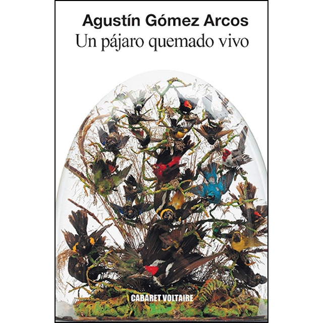 Un pájaro quemado vivo.pdf