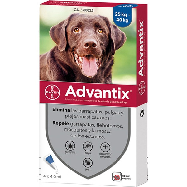 Anti flea for clearance dogs