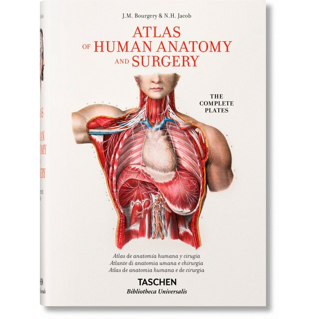 Jean marc bourgery. Atlas de anatomía humana y cirugía.pdf