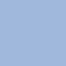 374 Saltwater Happy
