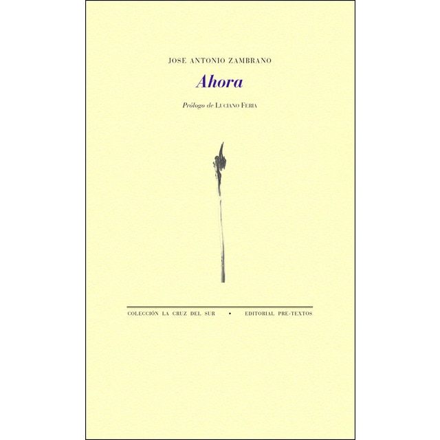 Ahora (Tapa blanda)