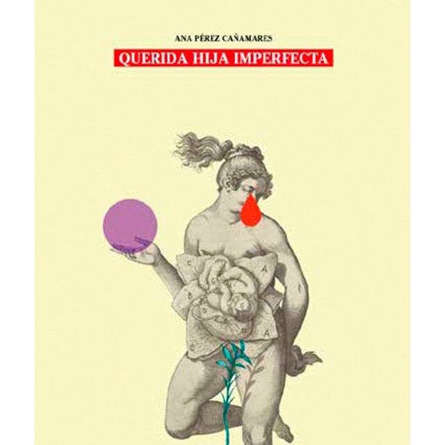 Querida hija imperfecta (Tapa blanda)