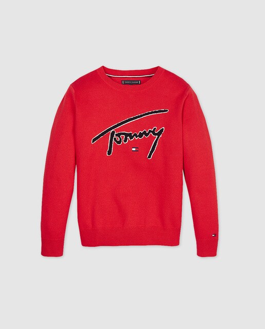 tommy hilfiger kids sweater