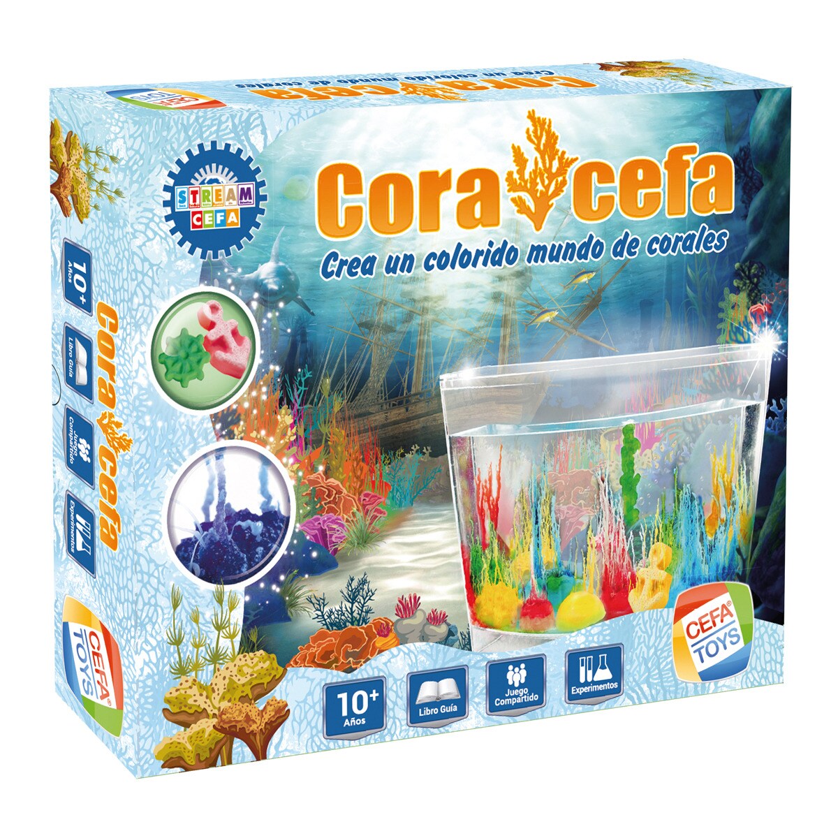 CoralCefa