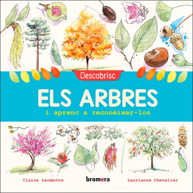 Descobrisc els arbres i aprenc a reconéixer-los (Tapa dura)