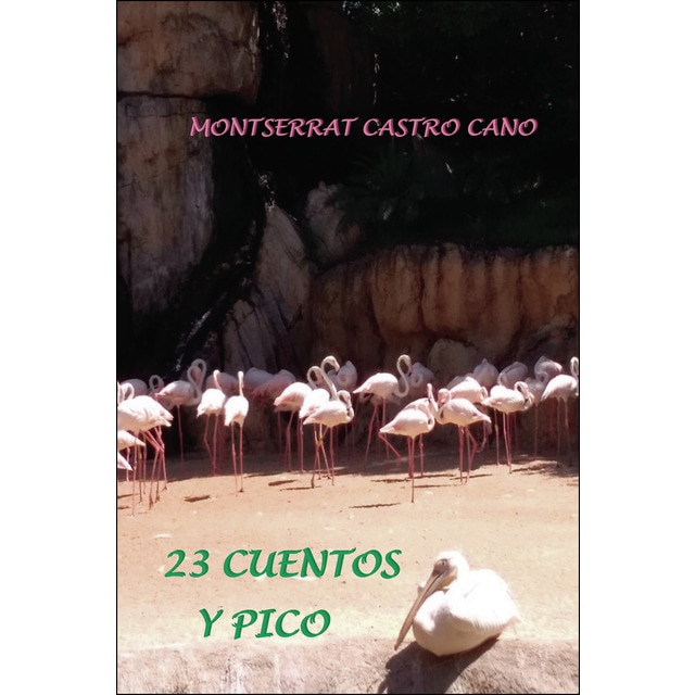 23 Cuentos y pico (Tapa blanda)
