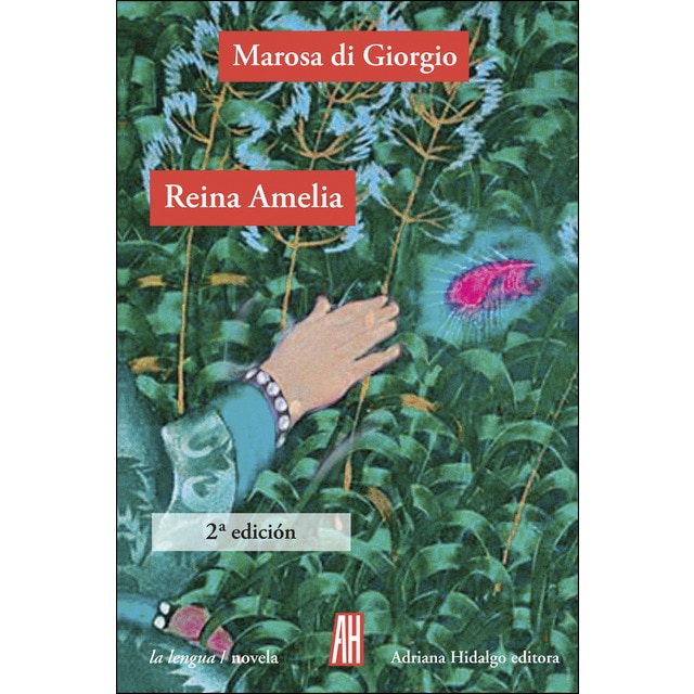 Reina amelia