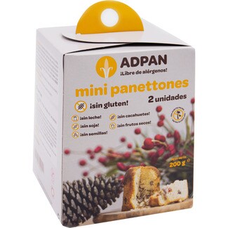 ADPAN Minipanettone, glutenfrei und ohne Palmöl Behälter 200 g