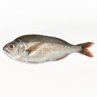 Besugo gordo peso aproximado pieza 1-1,5 kg