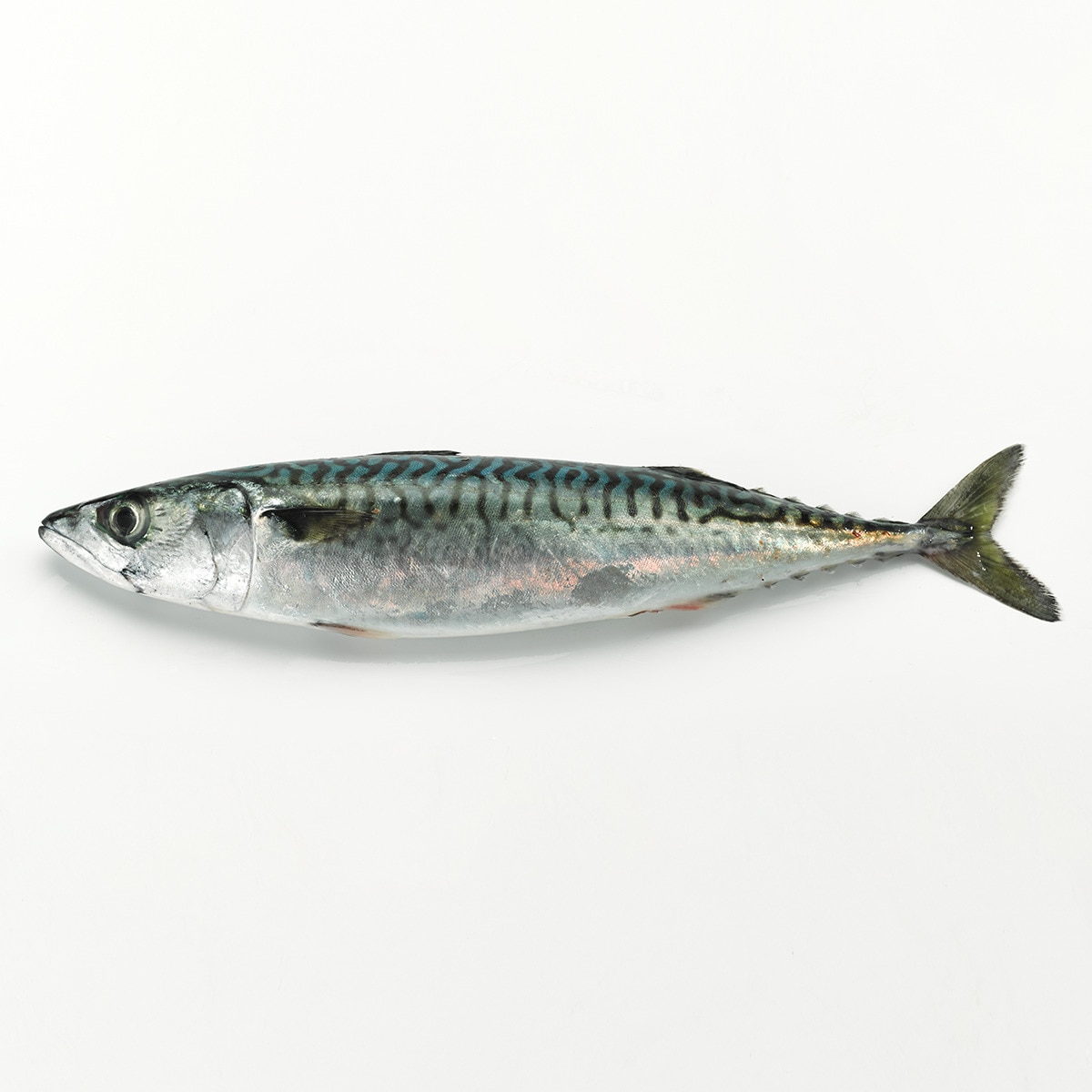 Mackerel approximate weight each 300 g · Supermercado El Corte Inglés