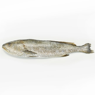 Adlerfisch in Scheiben