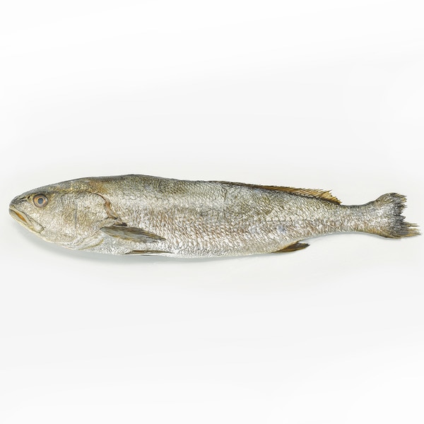 Adlerfisch in Scheiben