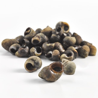 Premium winkles
