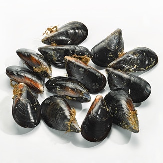 Mejillones gordos