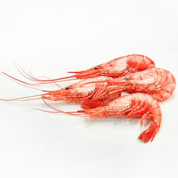 Cooked common prawns 150-200 pcs/kg